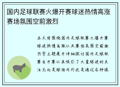 国内足球联赛火爆开赛球迷热情高涨赛场氛围空前激烈