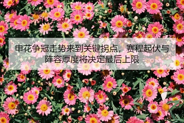 申花争冠走势来到关键拐点，赛程起伏与阵容厚度将决定最后上限 - 新闻资讯焦点报道封面图
